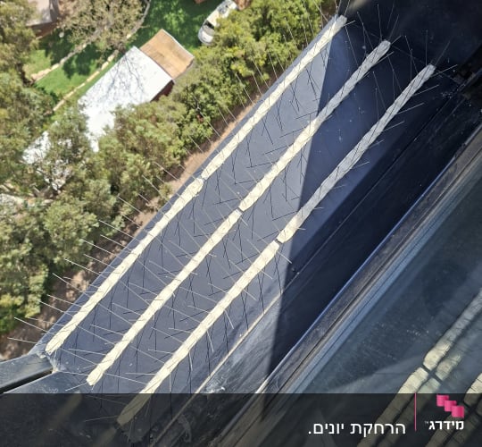 התקנת דוקרנים ממתכת נגד יונים על אדן חלון בגובה